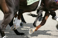 turfwaypark05_mjm