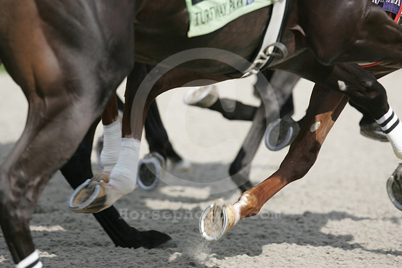 turfwaypark05_mjm