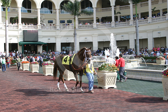 gulfstreampark65_eg