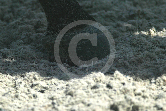 TurfwayPark_polytrack20