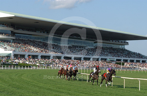 arlingtonpark02_hr