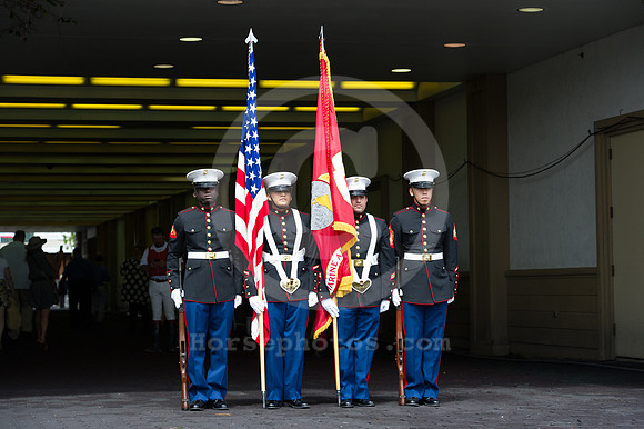 arlingtonpark115_bn