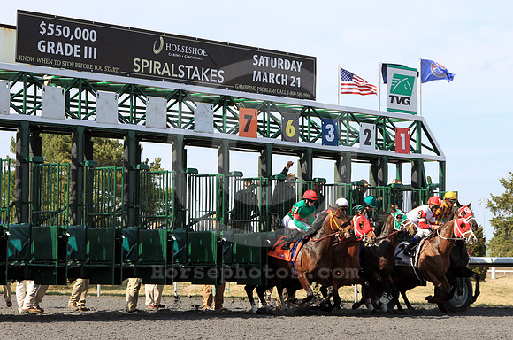 turfwaypark46_cg