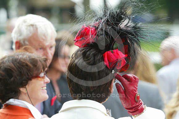 leopardstown_fans01_fs