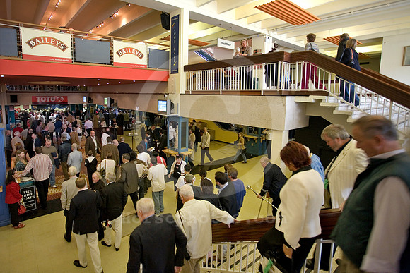 leopardstown_grandstand04_fs
