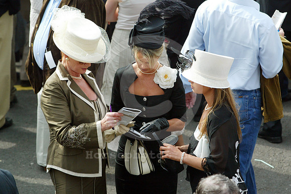 leopardstown_fans02_fs