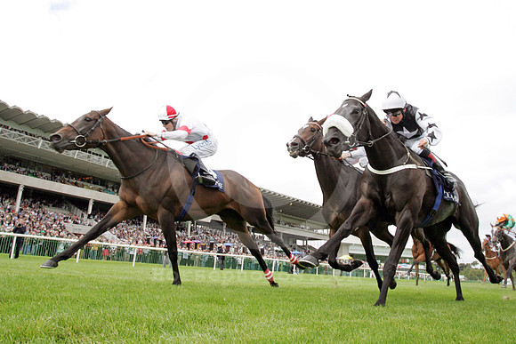 leopardstown_race71_fs