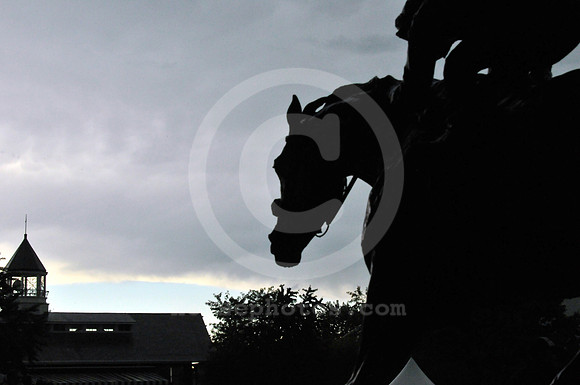 arlingtonpark14_bn
