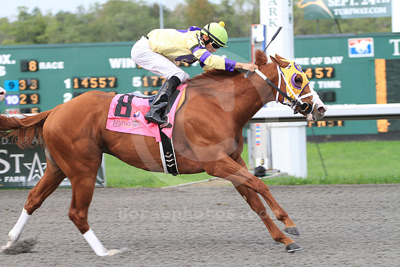 turfway15_rk