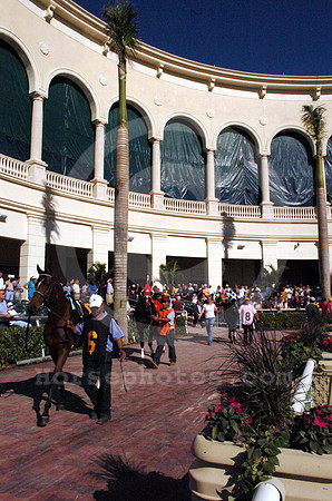 gulfstream_newpaddock04_hr