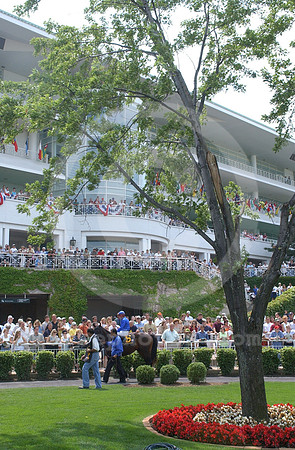 arlingtonpaddock03_hr