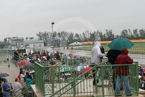 gulfstreampark_rain03_eg