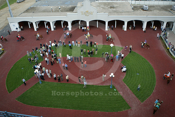 TurfwayPark_paddock13