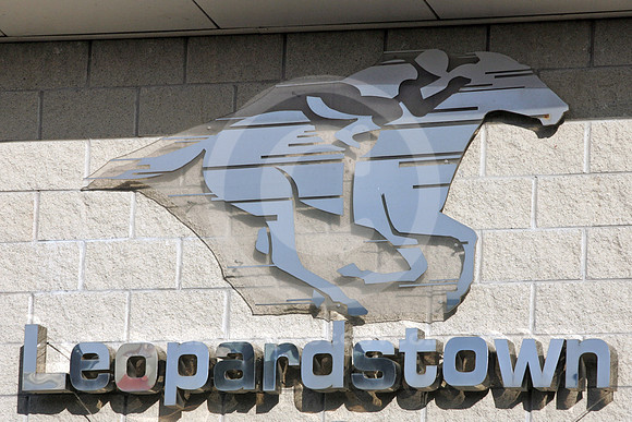 leopardstown_logo01_fs