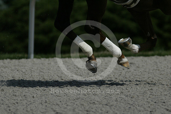 TurfwayPark_polytrack19