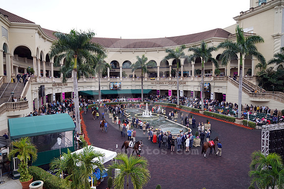 gulfstreampark_paddock01_cg