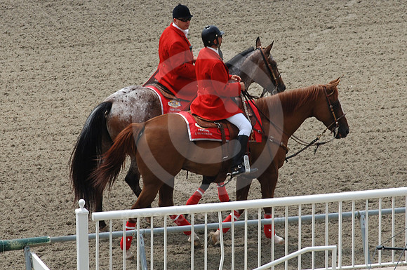 arlingtonpark20