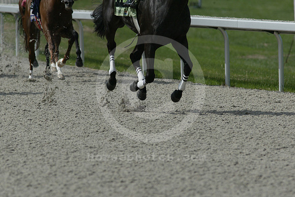 TurfwayPark_polytrack15