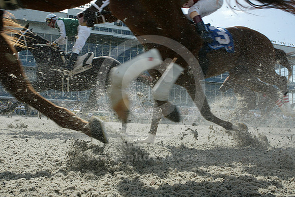 TurfwayPark_polytrack10