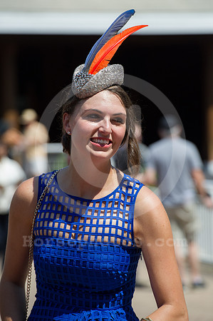 arlingtonpark94_bn