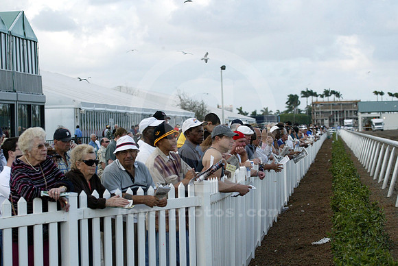 gulfstream_crowd02_eg
