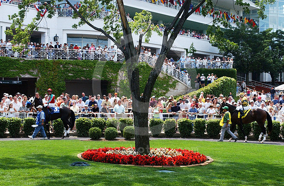arlingtonpaddock02_hr