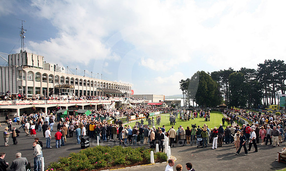 leopardstown_grandstand08_fs