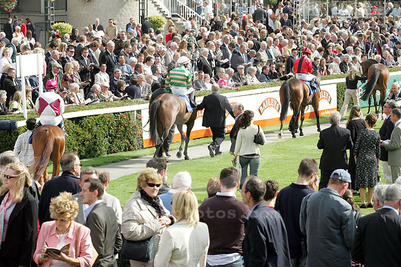 leopardstown_paradering02_fs