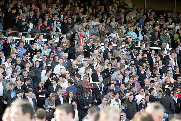 leopardstown_fans03_fs