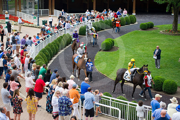 arlingtonpark129_jn