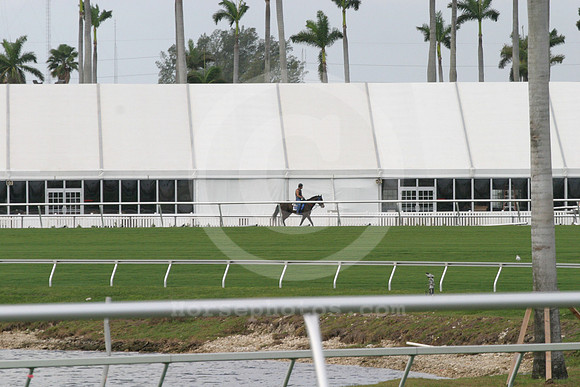 gulfstream_tent05_eg