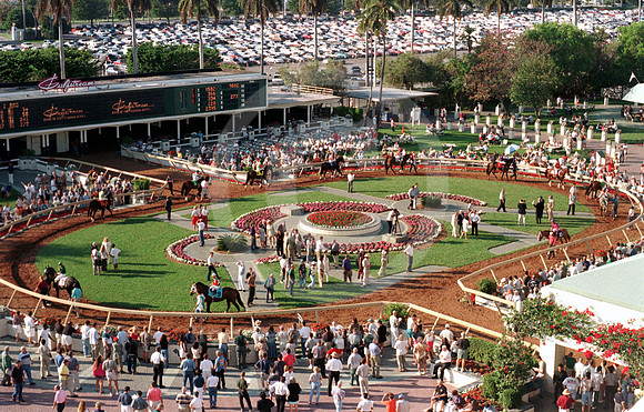 gulfstreampadddock