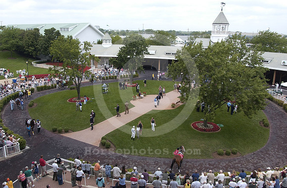 arlingtonpaddock10