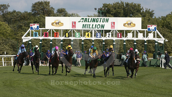 arlingtonstart01_