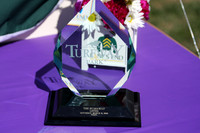 turfwaypark23_ev