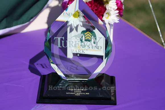 turfwaypark23_ev
