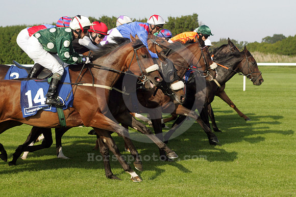 leopardstown_horses1_fs