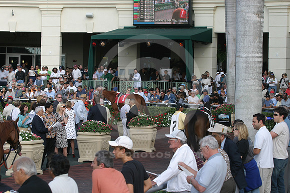 gulfstreammillionscrowd01_eg