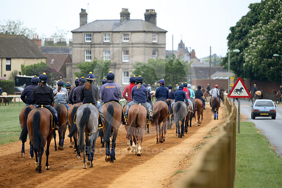 newmarket_training21_fs
