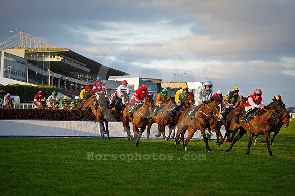 leopardstownracecourse02_jn