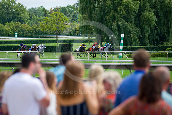 arlingtonpark131a_jn