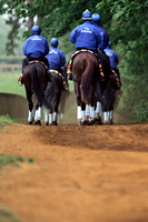 newmarket_godolphin05_fs