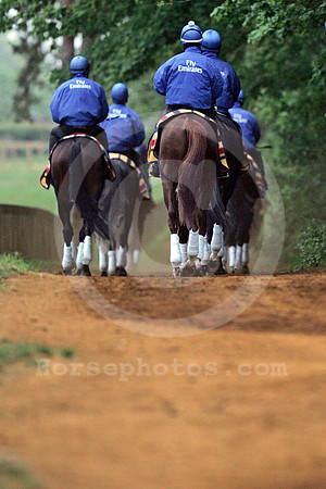 newmarket_godolphin05_fs