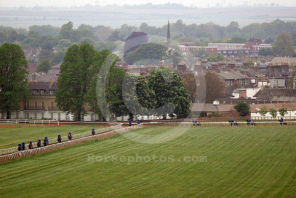 newmarket_godolphin03_fs