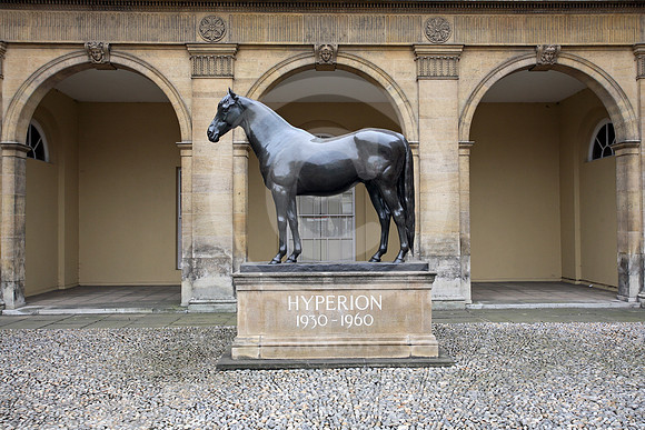 newmarket_hyperion31_fs