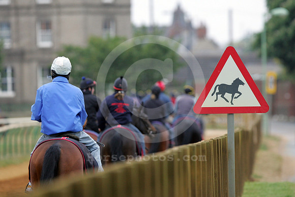 newmarket_training18_fs