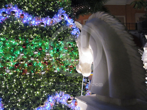 gulfstreampark_thevillage_02_gg