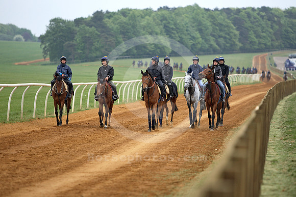 newmarket_training23_fs