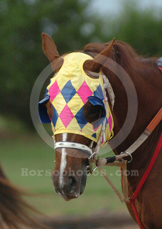 blinkers08_hr
