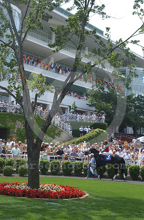 arlingtonpaddock01_hr